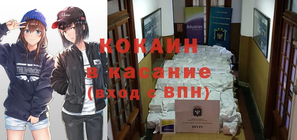 мдпв Снежинск