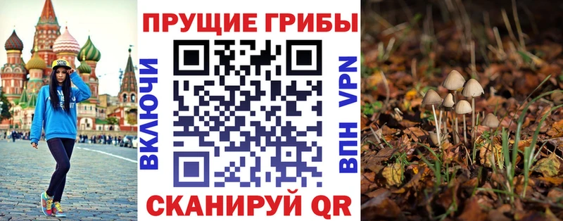 Псилоцибиновые грибы Psilocybine cubensis  Буй 